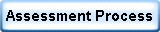 Assessment Process